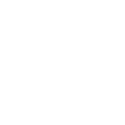 Fiber to the Home – Made by Femotech